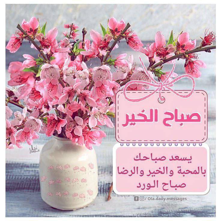 ‏آلَمِـهِرَهِ آلَعَ ـتُيّبّـيّهِ🇸🇦💕💍 tweet media
