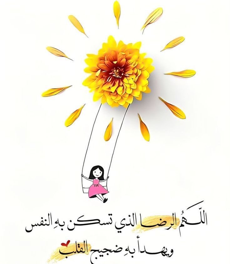 منى🦋 tweet media