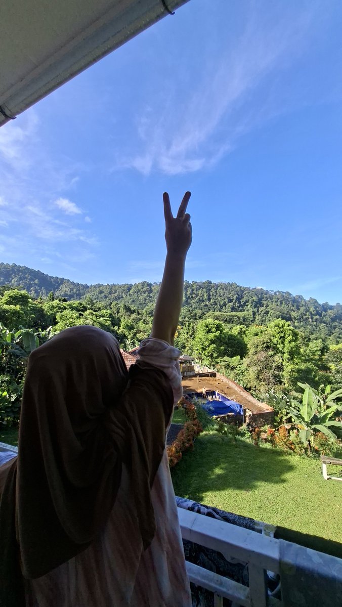 gikaland's tweet photo. 🌲🌲🌲 https://t.co/TO8L9moqPt