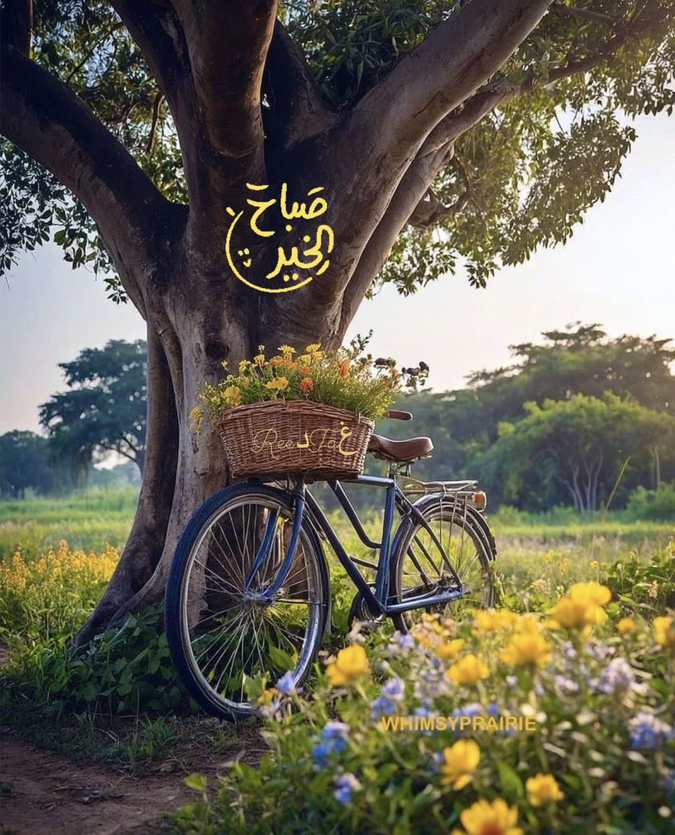 💕عبير 🥀 tweet media