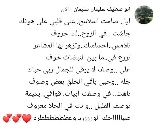 ابو صطيف tweet media