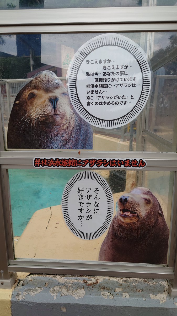 くわす tweet media