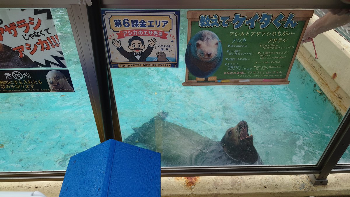 くわす tweet media