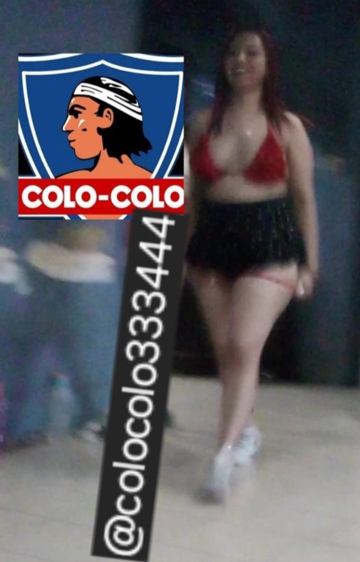 colocolito tweet media