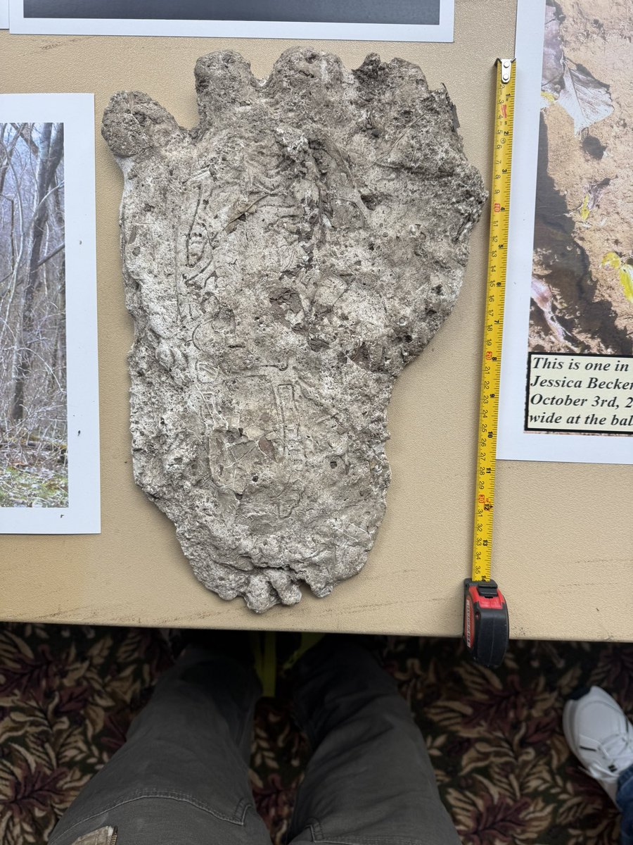 Cliff Barackman tweet media