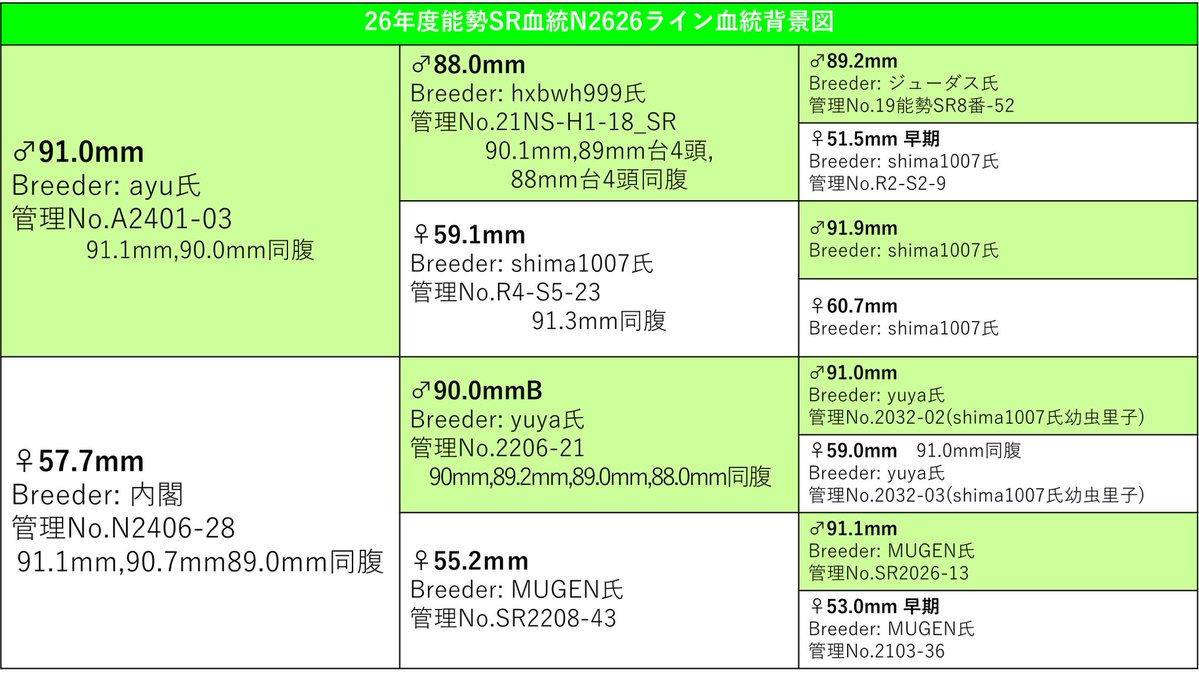 内閣 tweet media