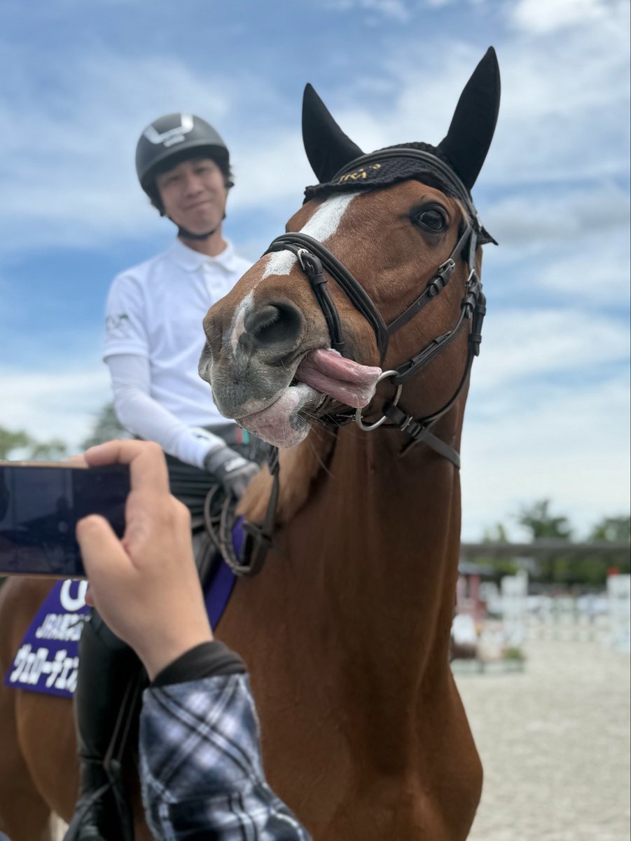 非売品】ヘンリー・セシル公式バイオグラフィー 凱歌 (海外競馬・調教