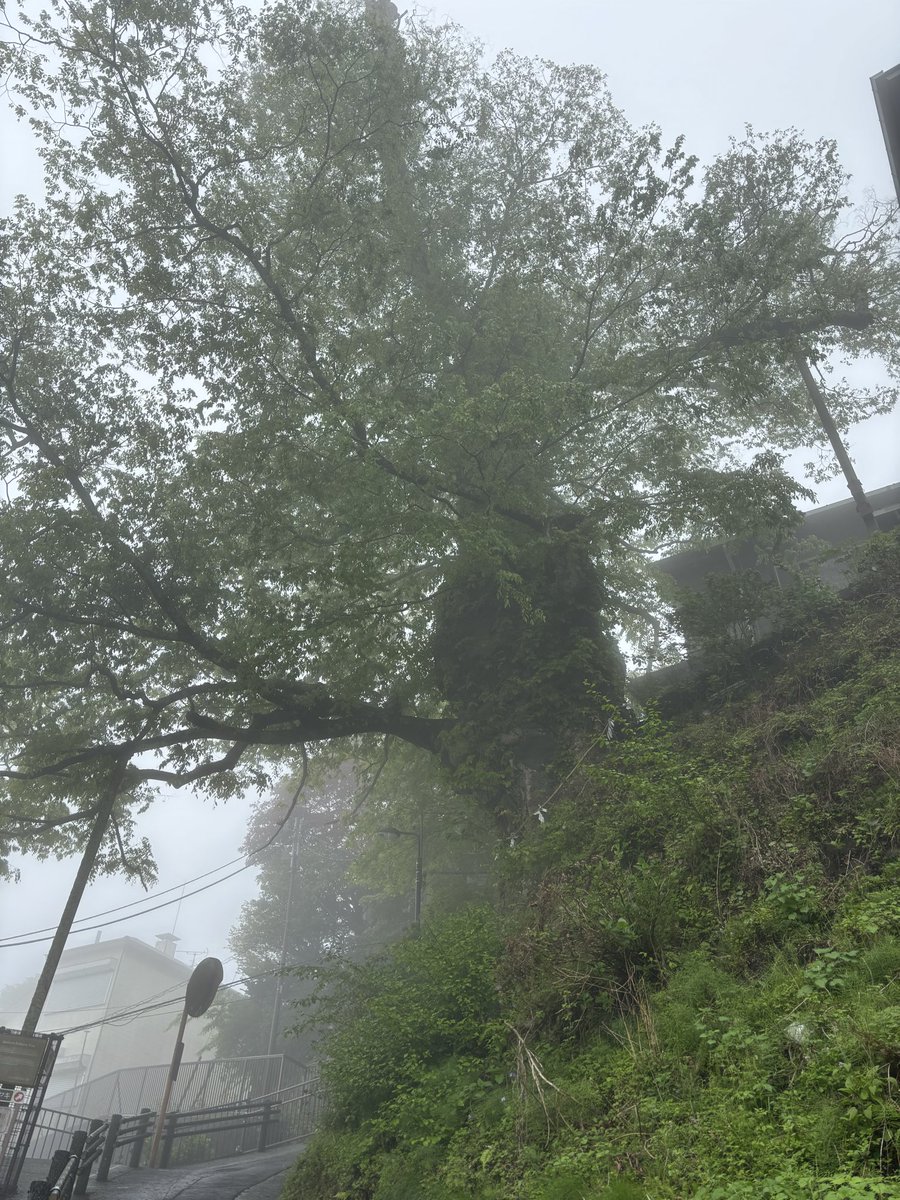 34payton25's tweet photo. 今日は妻と次女と
御岳山へ⛰️
空気が澄んでて
リラックスできました
感謝
#御嶽
#武蔵御嶽神社 https://t.co/MHmrFAUpLe