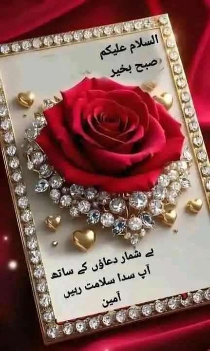 Muhammad Shafiq tweet media
