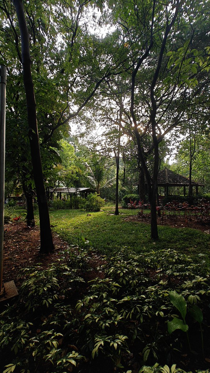misterc_speaks's tweet image. Post rain scenes in #Bengaluru ☔❤️
