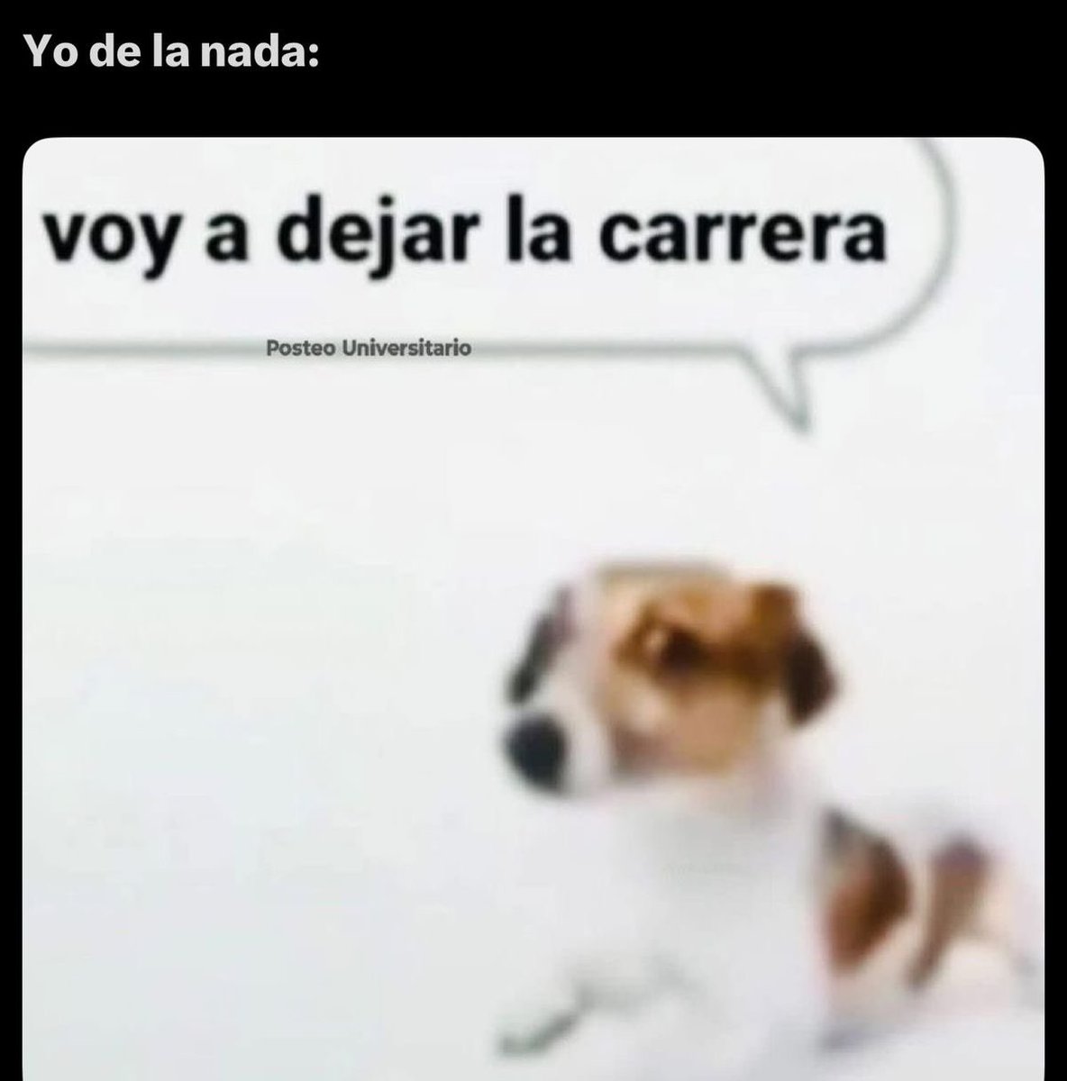 ivyy tweet media