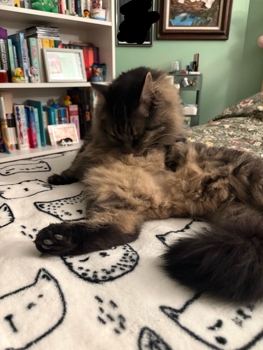 thicctheo tweet picture