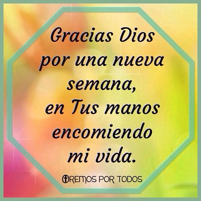Diosysantidad's tweet image. #Pray

#PrayForTheWorld

Gracias #Dios
por una nueva semana,
en Tus Manos
encomiendo mi vida.

diosysantidad.blogspot.com/2025/09/video-…

youtube.com/watch?v=IaURGF…

diosysantidad.blogspot.com/2025/10/nuestr…

diosysantidad.blogspot.com/2025/10/reflex…