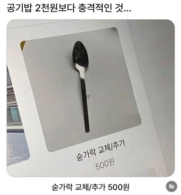 방구석뚱냥이 tweet media