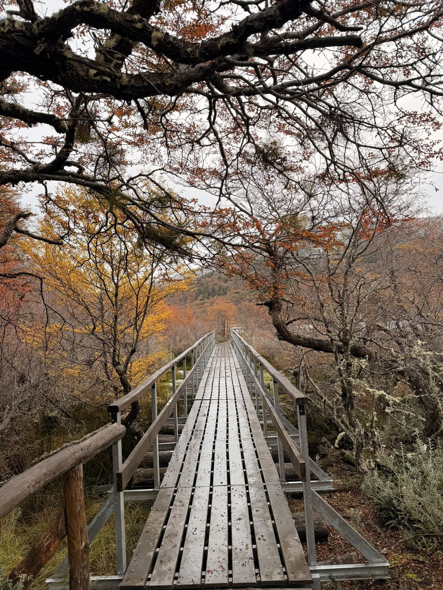 No puedo explicar lo mucho que amo Ushuaia. Volví hace 3 días pero mi mente sigue ahí