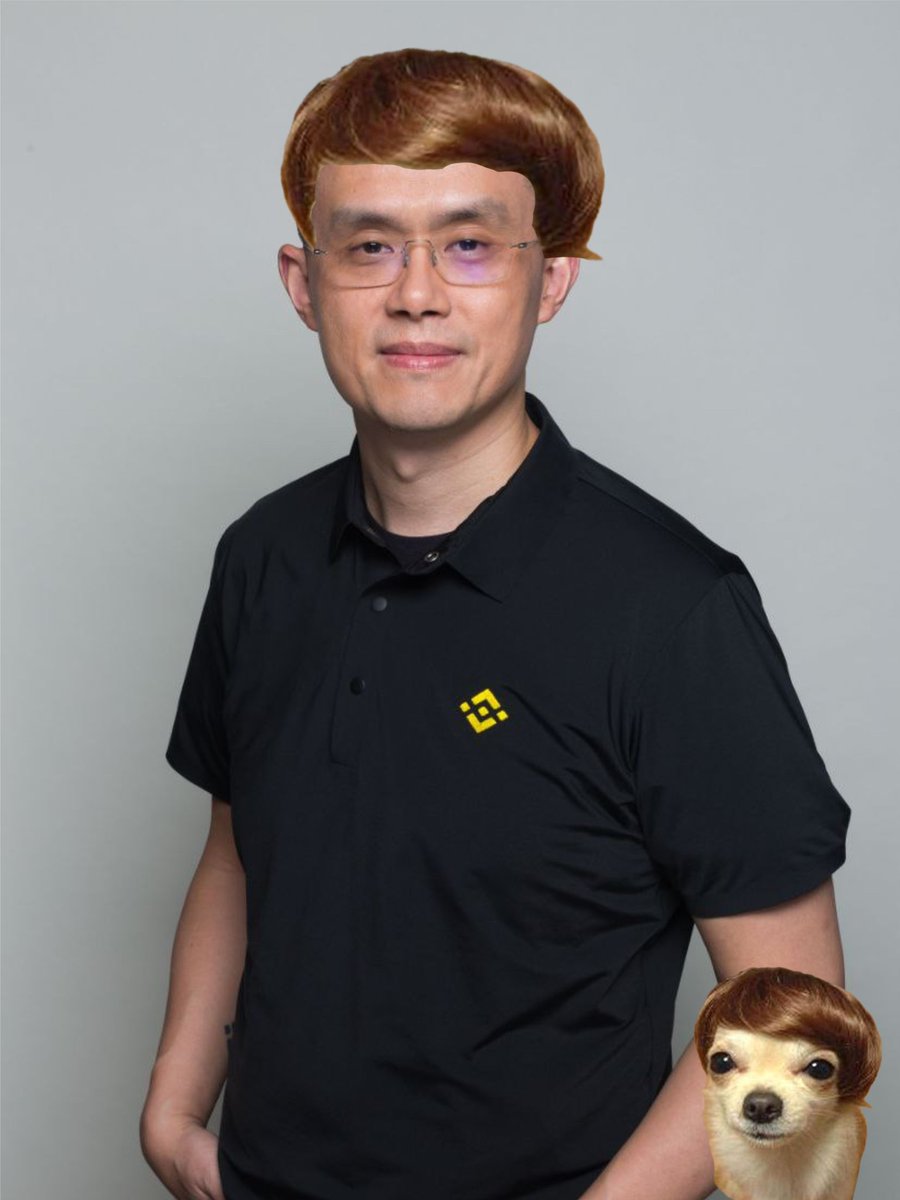 dogwifhair tweet media