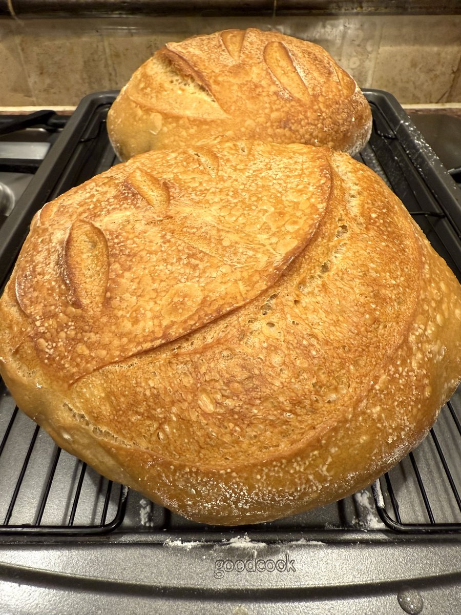 _matt_tx's tweet image. Fresh out of the oven—still hot, crispy shell, and cooling on the rack!
Who else is obsessed with homemade sourdough breads? Call me sourdough master!
#Sourdough #bread #HomeBaking #SourdoughDiscard #BakingFromScratch