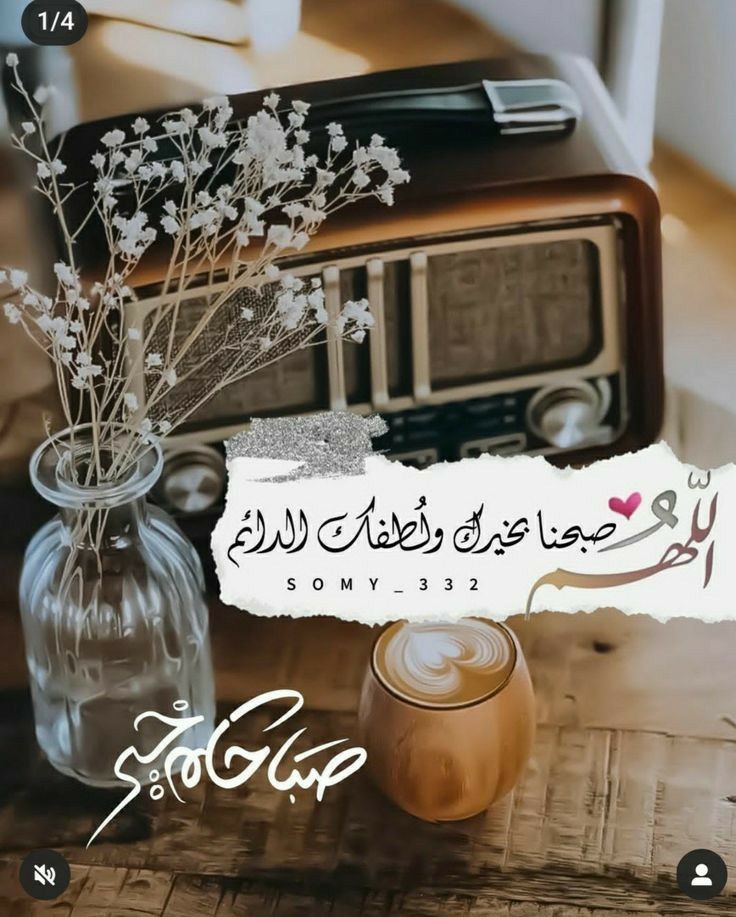 🦋𝓜𝓐𝓝𝓐𝓡🦋 tweet media