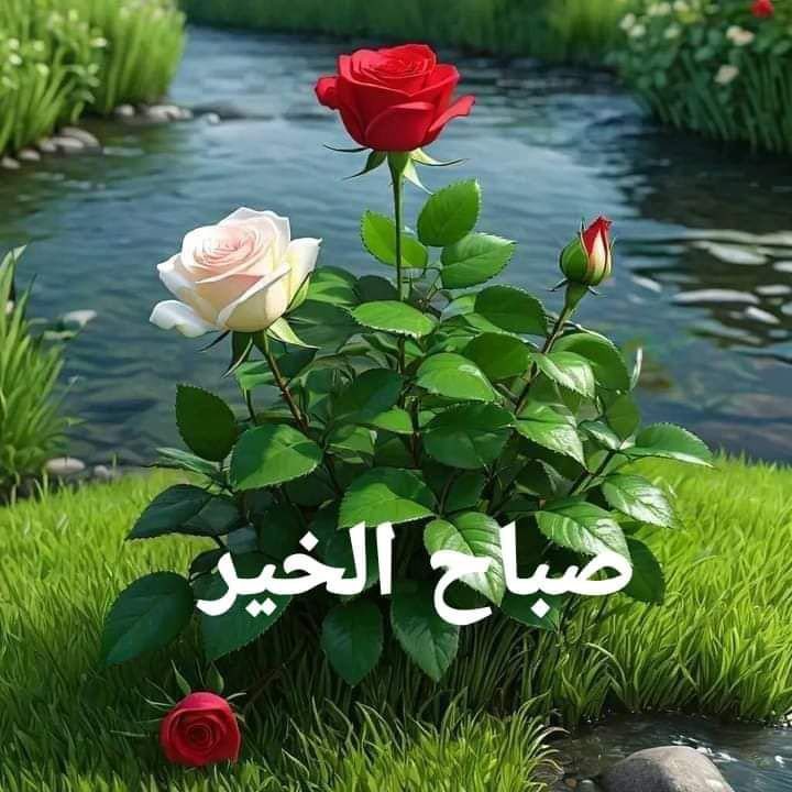 AHMAD 🇱🇧🇱🇧🇱🇧 tweet media