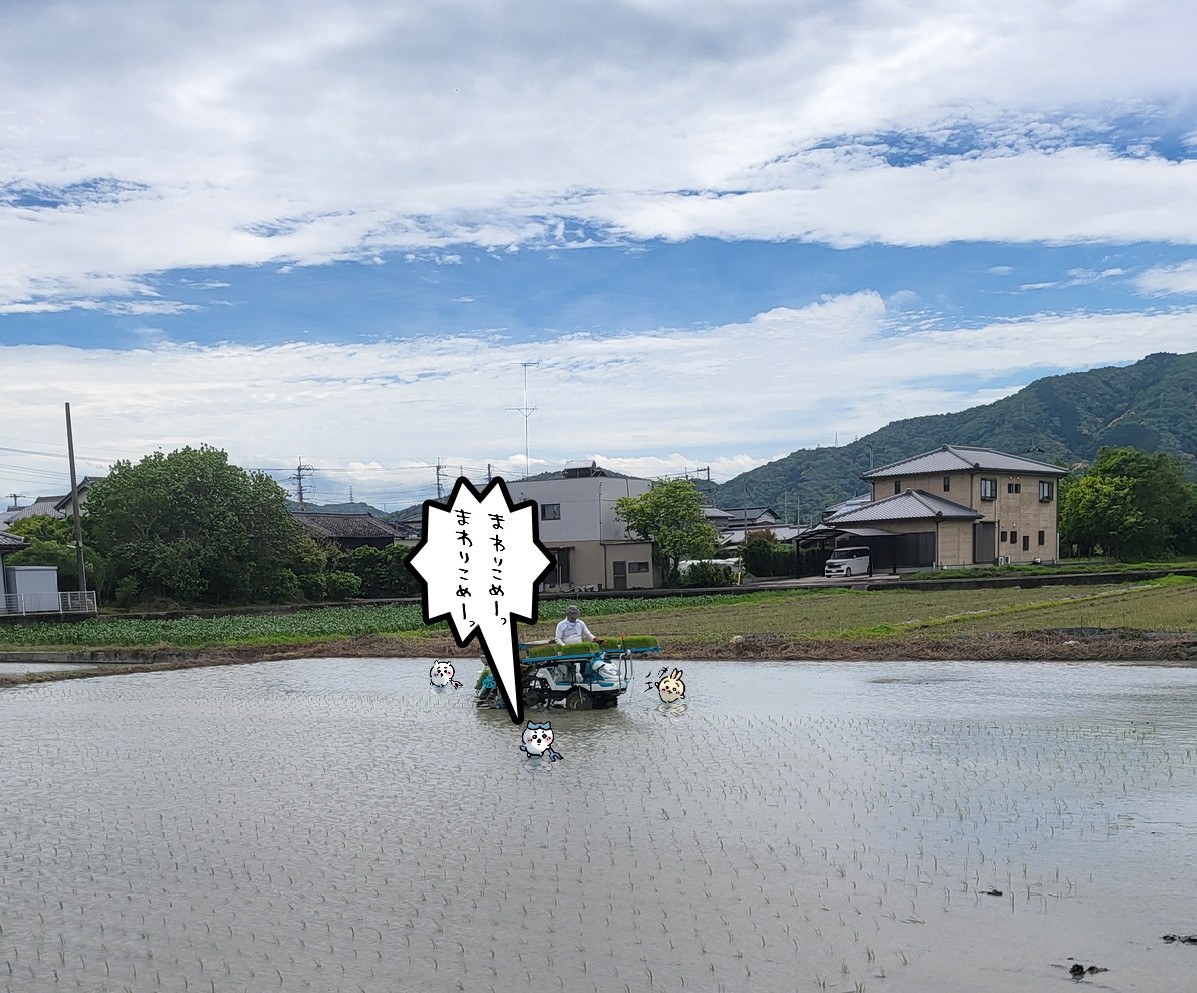 よちいろう tweet media