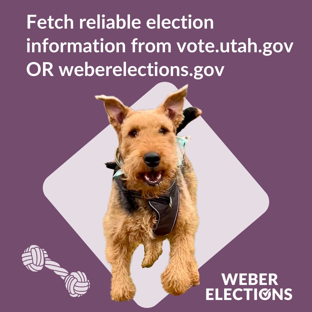 WeberElections's tweet image. Fetch reliable election information from vote.utah.gov OR weberelections.gov

#dogs #puns #themoreyouknow #weberelections #utah #utahelections