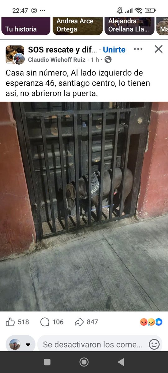 el Rockdrigo ❤💜💚🌳🌳🌳🌳🐈‍⬛🐕 tweet media
