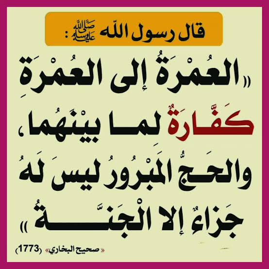 Tareq Qoraishy tweet media