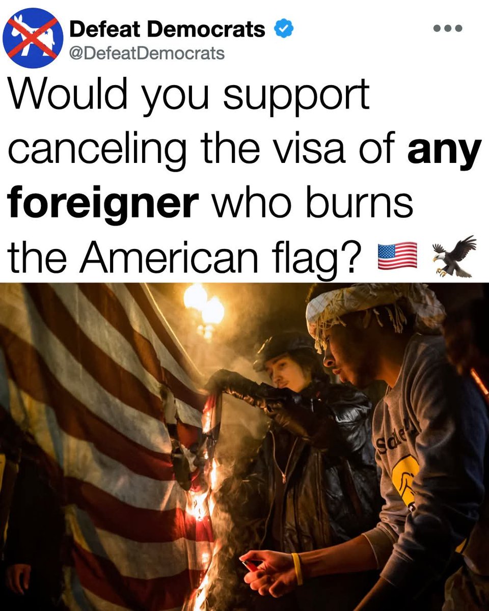 Anti Left Memes tweet media