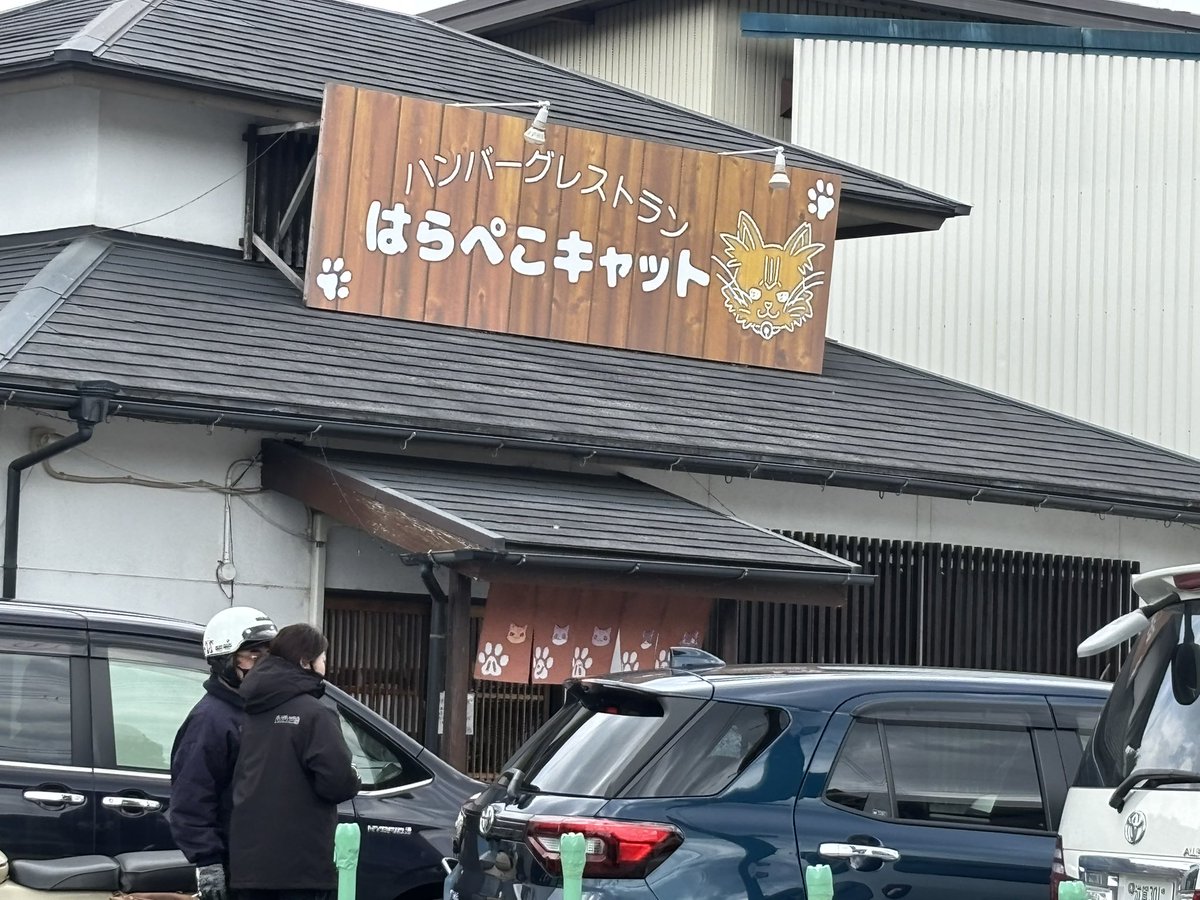 Post by こまねこ on X: おなかすいた
