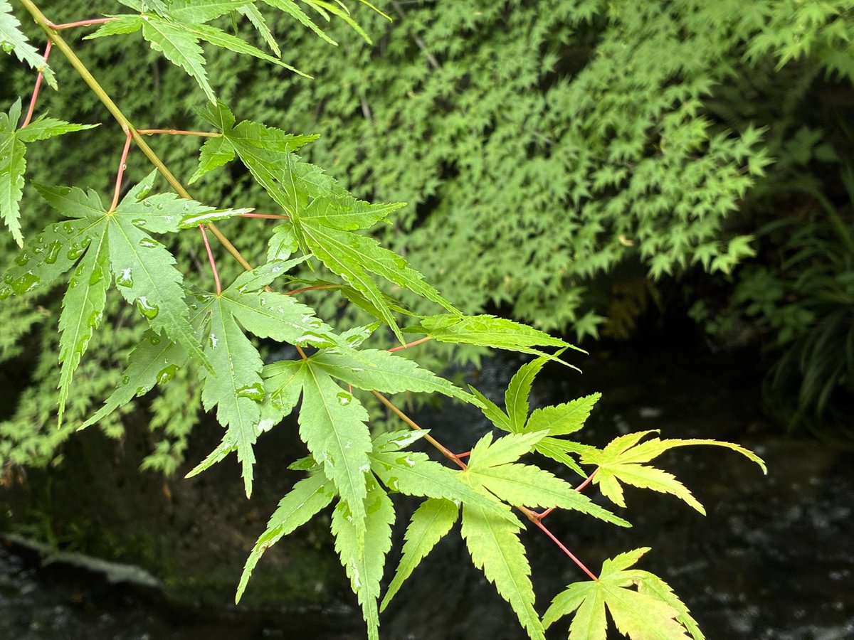 知らなかった素敵なところがまだまだたくさんあるなぁ〜