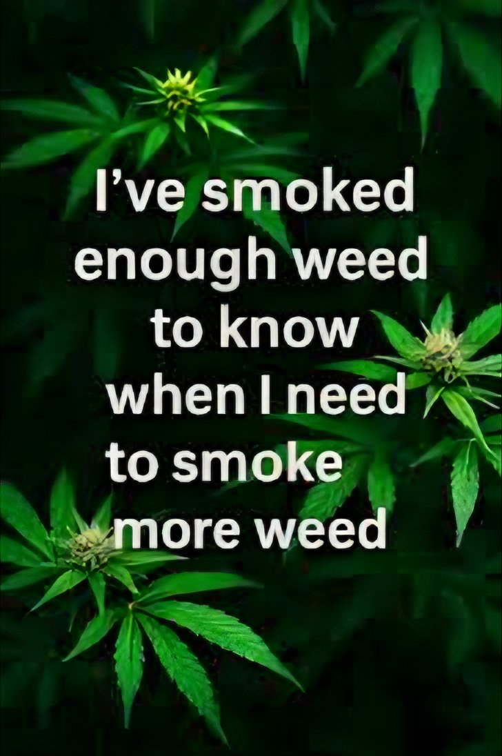 Medical Grower 420 🇺🇸 tweet media