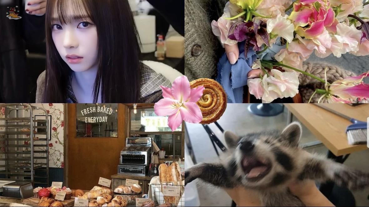 SOC-IE 💛 ˚☽˚.⋆ tweet media