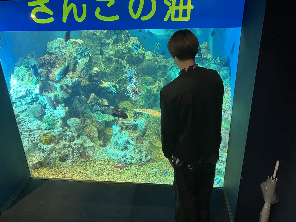 なわとび tweet media