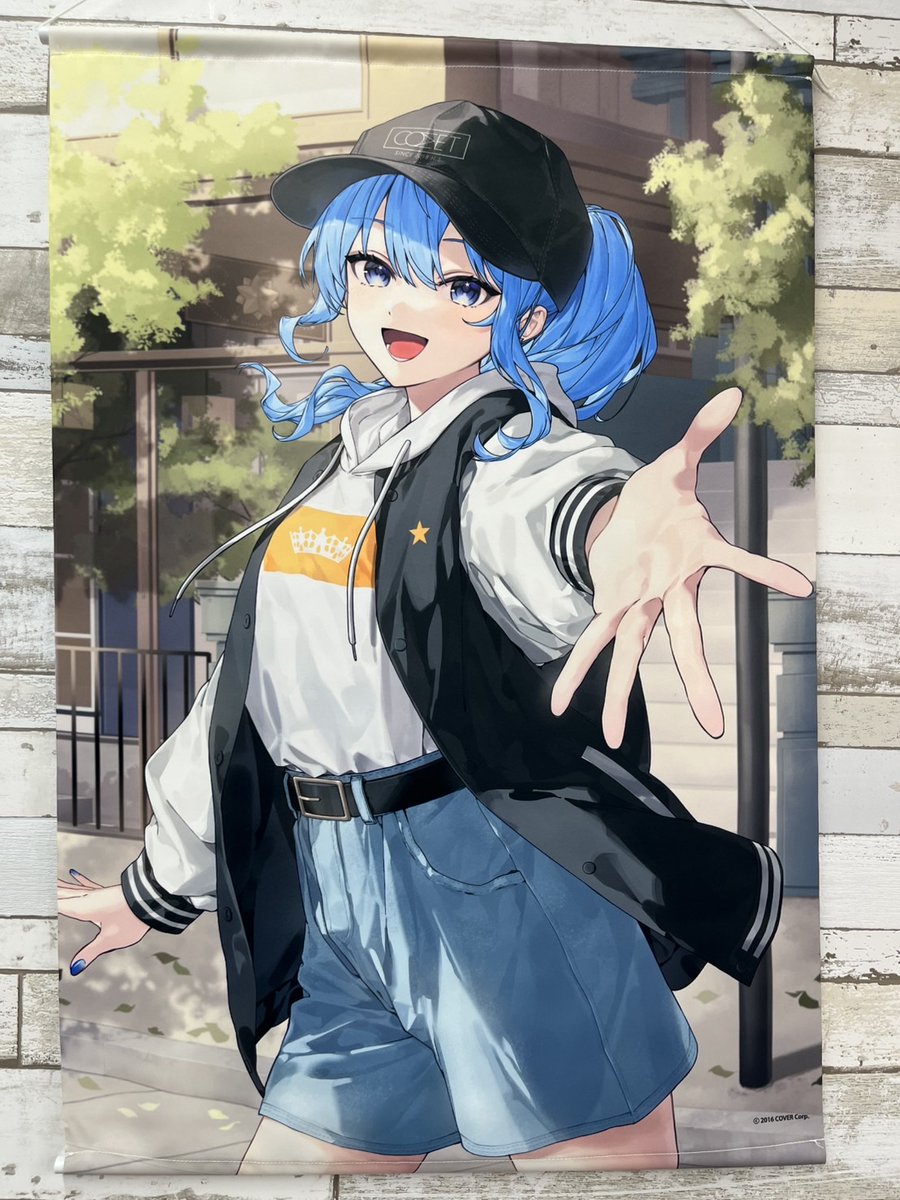ファンダムなんば です☄ 【入荷情報】 ホロライブ 星街すいせいちゃん