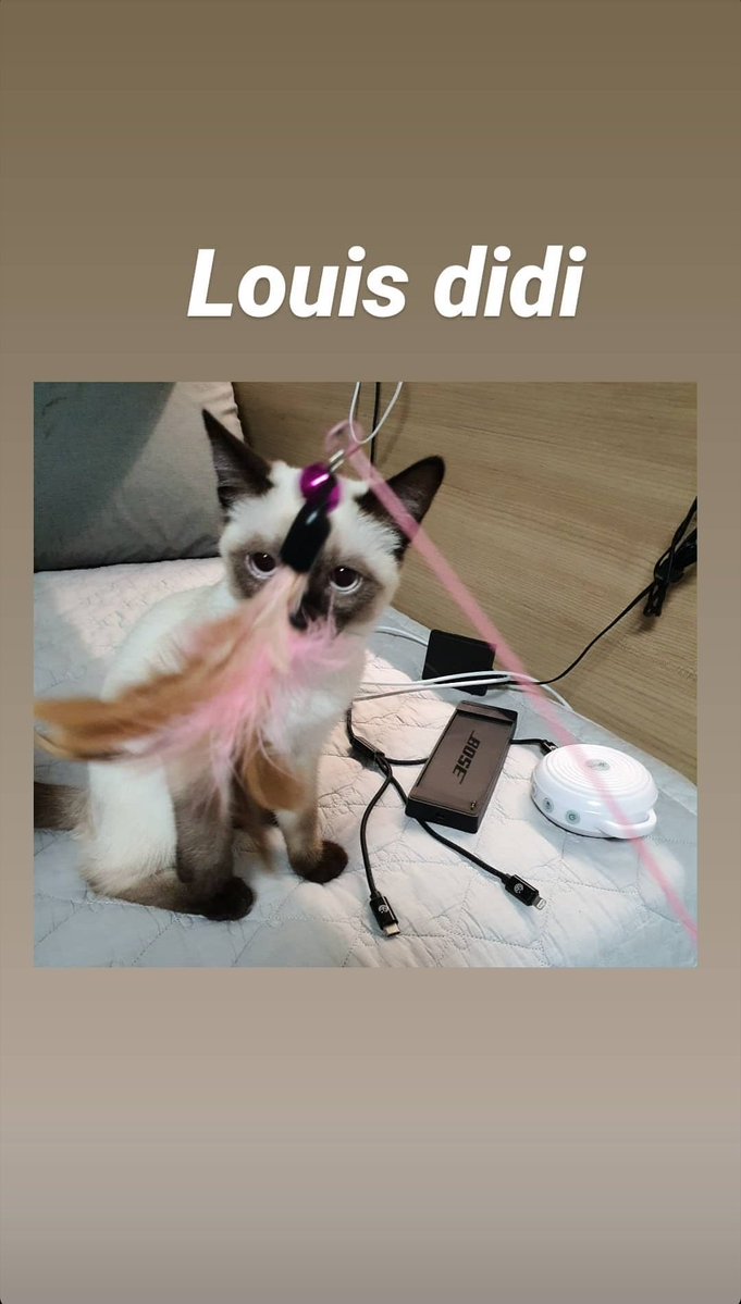 it was exactly 6 years ago today when #TEN introduced via instagram his new baby, LOUIS 💜