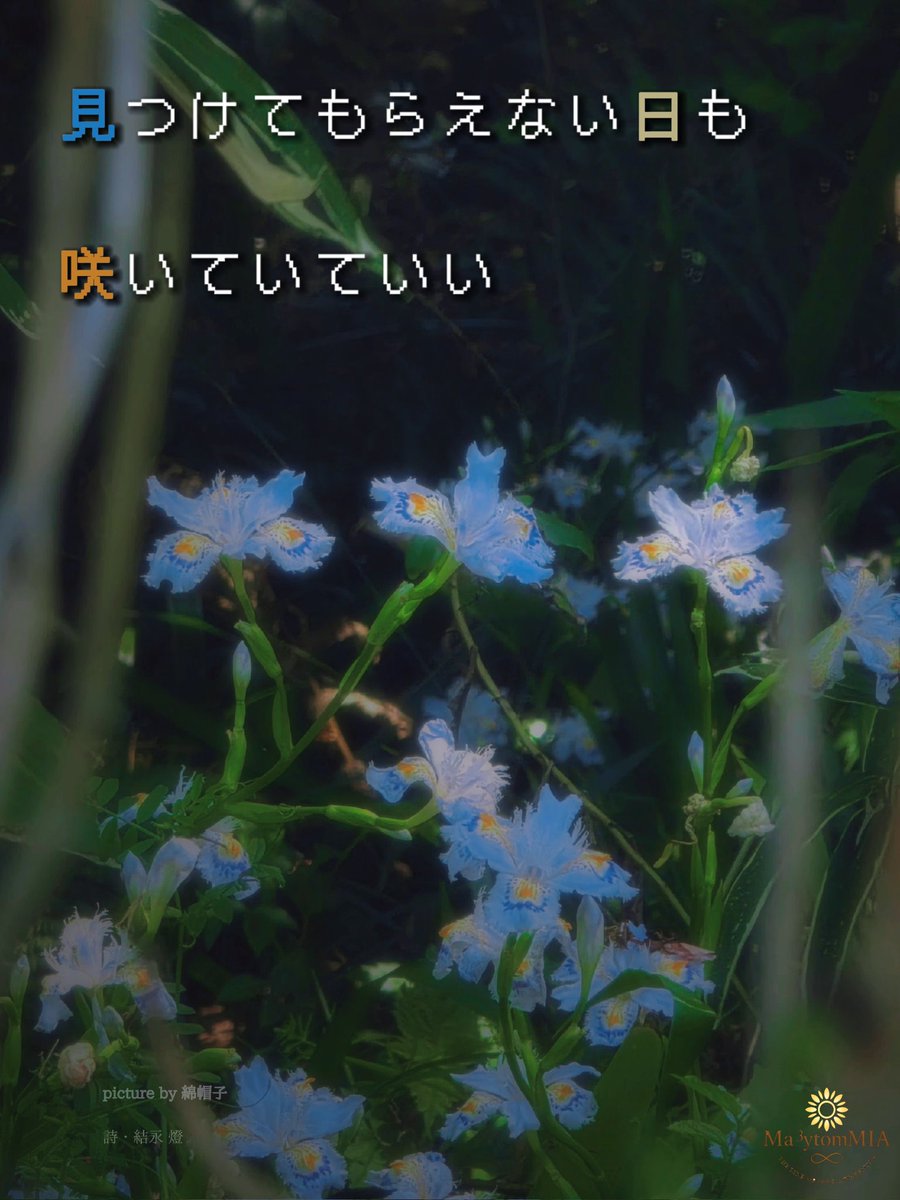 結永 燈︎✧Ma³ytom MIA（メイトム・ミア） tweet media