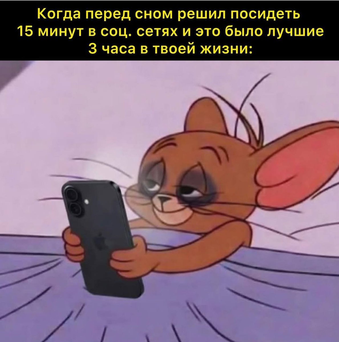 Элишкa tweet media