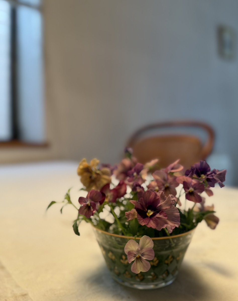 𝒆𝒊𝒌𝒐 *¨*•.¸♪🍀 tweet media