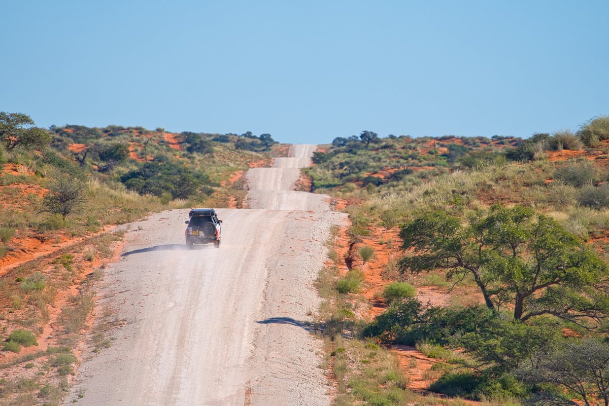 GondwanaLodges's tweet image. Drive slow and enjoy the everchanging landscapes of Namibia. You never know when you get the chance to spot even the smallest of animals on the road.

📸Manni Goldbeck

#namibia #roadtrip #gravelroad #africa #travel