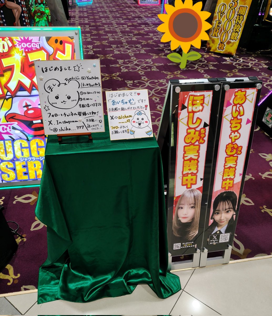 ぷちみん⭐🐕️🐬 tweet media