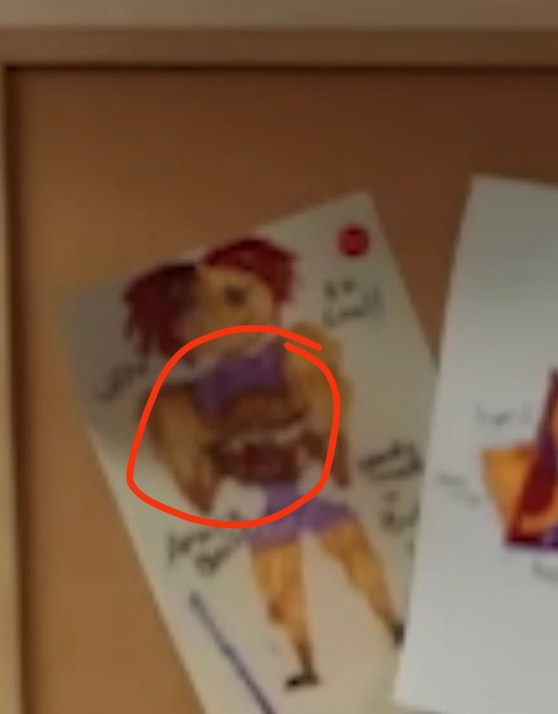 arina the bunnydoll warrior tweet media