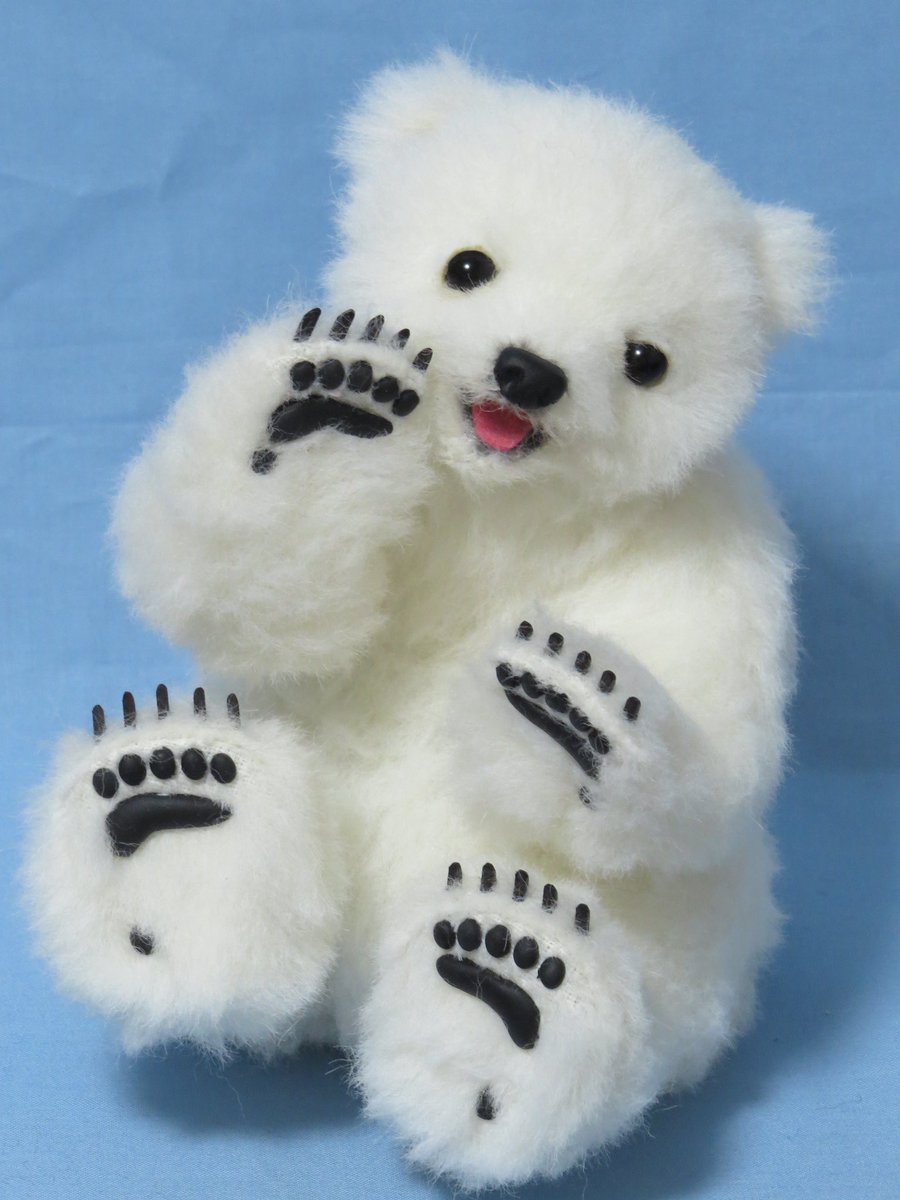 シロクマちゃん🐻‍❄️ 〜表情が変わるテディベア〜 お家探し、始め