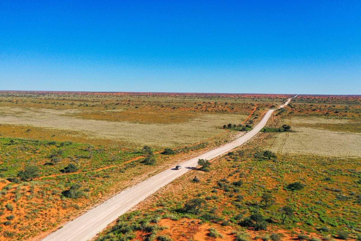 GondwanaLodges's tweet image. Stretching far and wide, gravel roads touching the horizon and leaving nothing behind but small clouds of dust from cars long gone. This is Namibia!🌳

📸Manni Gooldbeck
#namibia #roadtrip #travelnamibia #africa