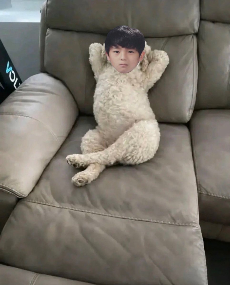 보멀이 tweet media