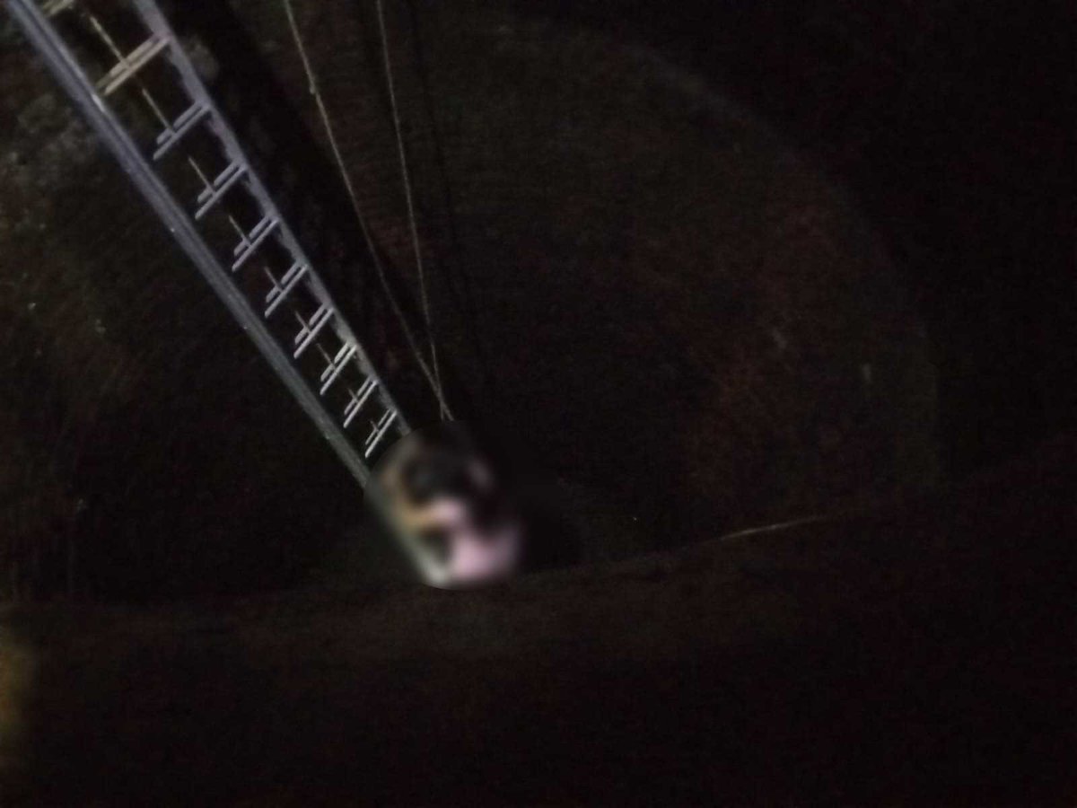 AndamanPolice's tweet image. Rapid emergency response and confined-space rescue by Fire Station Aberdeen personnel saved a 58 year old woman who fell into a well in the densely populated Doctors Colony, Nayagaon. Their swift risk assessment and timely intervention ensured life safety.
#EmergencyResponse