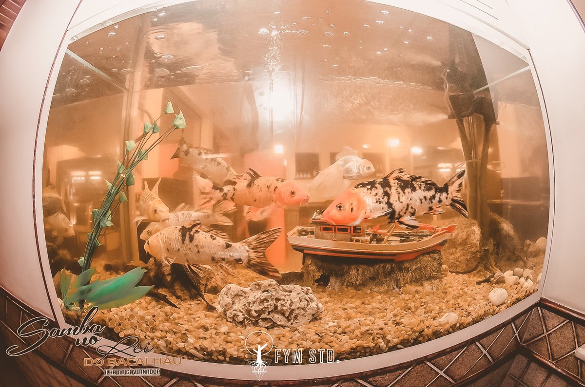 infocoproducao's tweet image. ガバナーズ島
#photography #photooftheday
#ファインダー越しの私の世界
#写真好きな人と繋がりたい