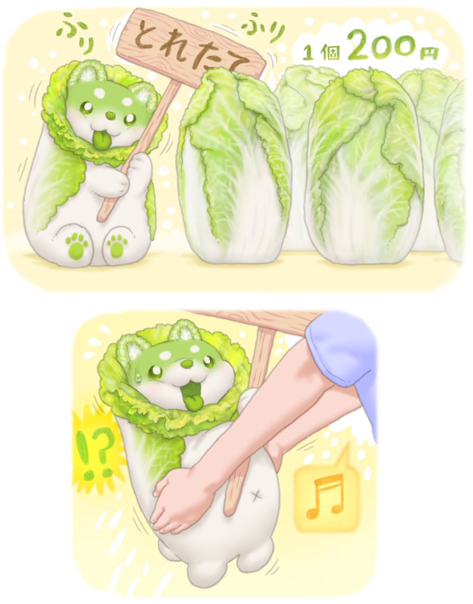 ぽん吉🌱おやさい妖精さん tweet media