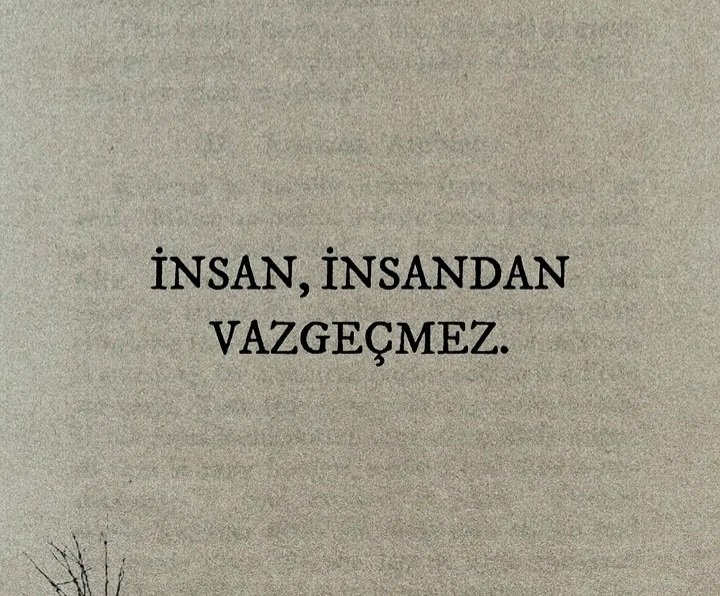 ♥️ Bilge ♥️ tweet media