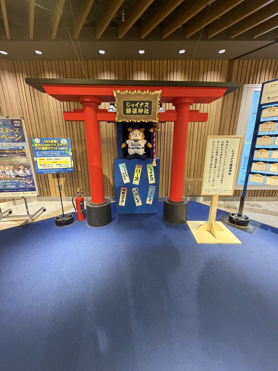 マル、、、 tweet media