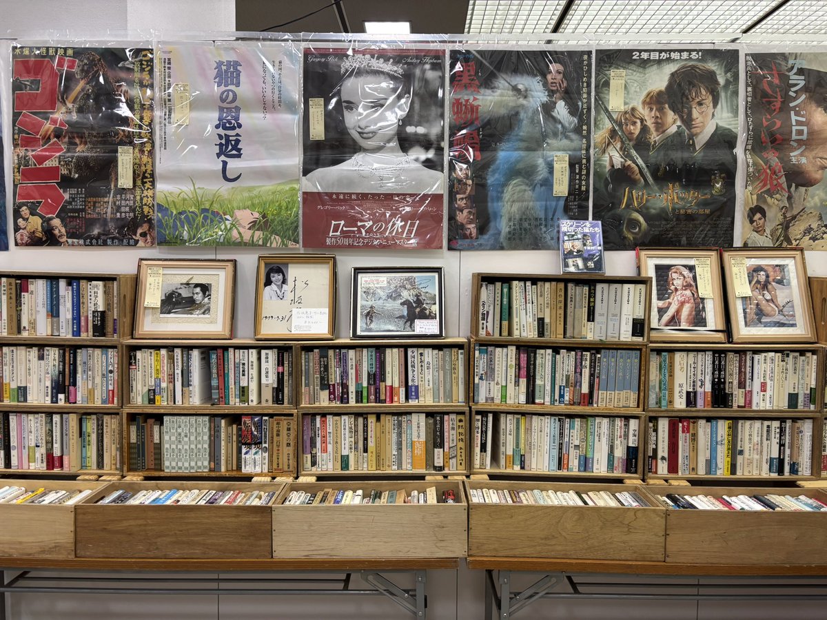 京都スターブックス tweet media